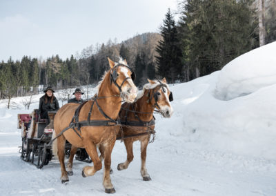 Slitta con cavalli sulla neve