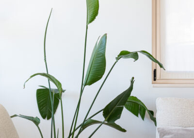 Pianta decorativa in un angolo living moderno e luminoso.