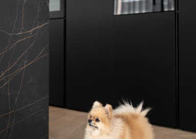 Dettaglio cagnolino in cucina